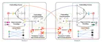 Win-Win: A Privacy-Preserving Federated Framework for Dual-Target Cross-Domain Recommendation
