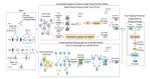 Multi-View Spatial-Temporal Enhanced Hypergraph Network for Next POI Recommendation